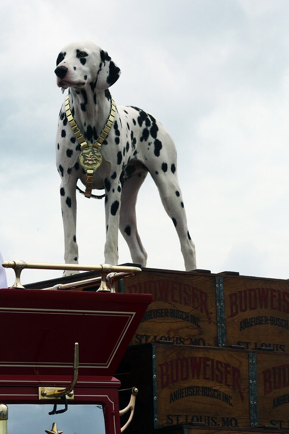 Dalmatien
