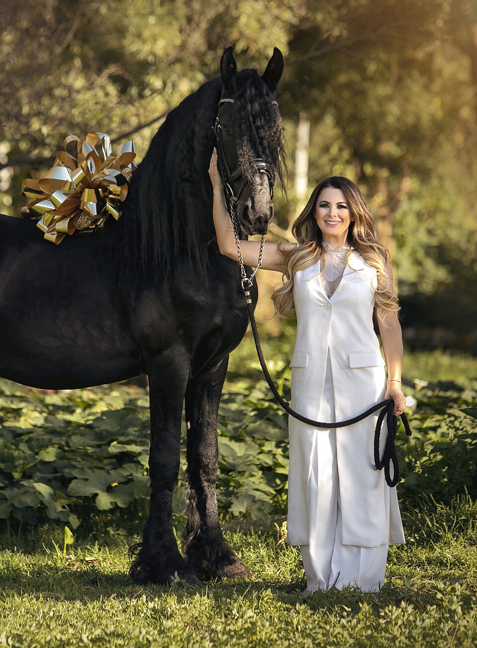 Frison