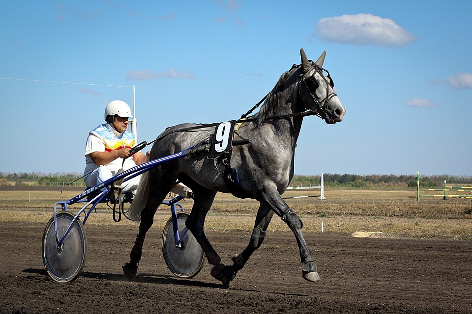 Trotteur d'Orlov