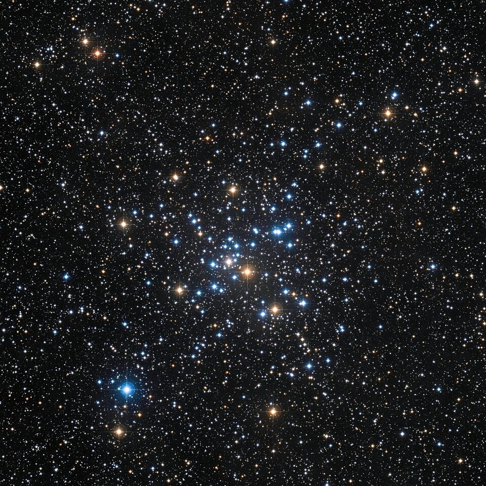 M41