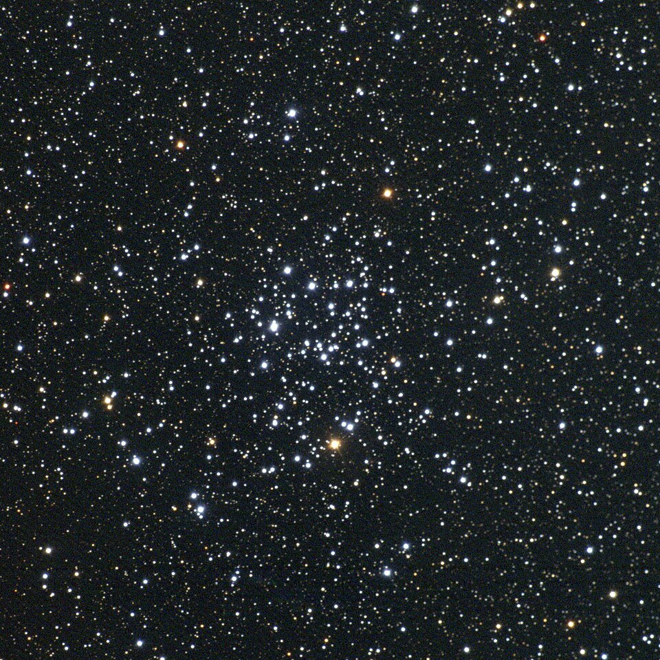 M50