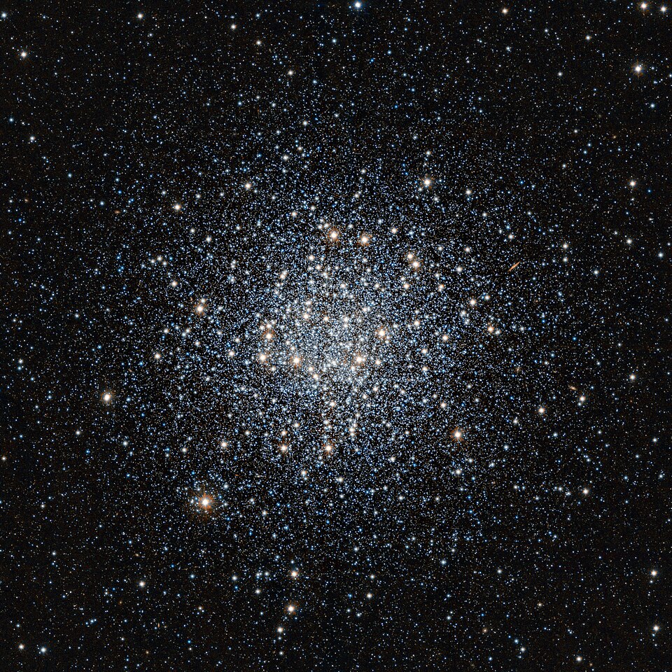 M55