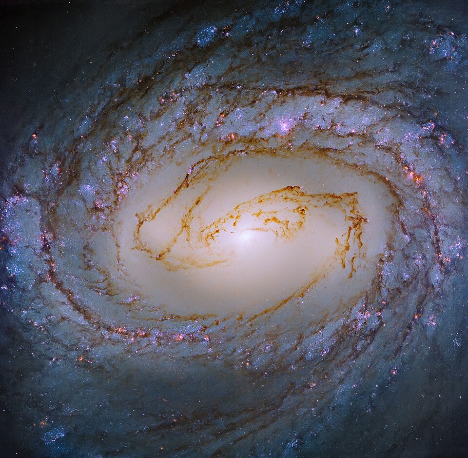 M58