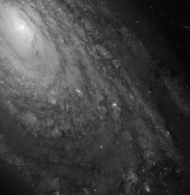 M88