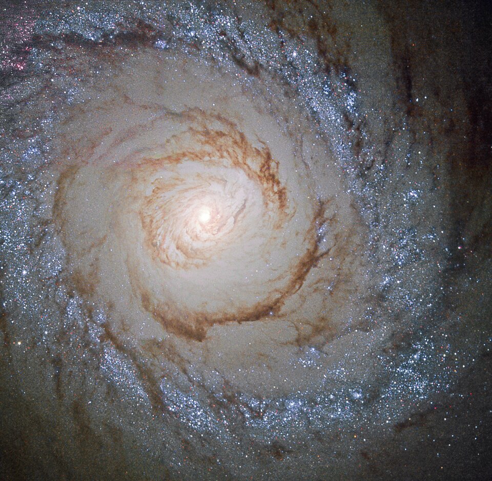 M94