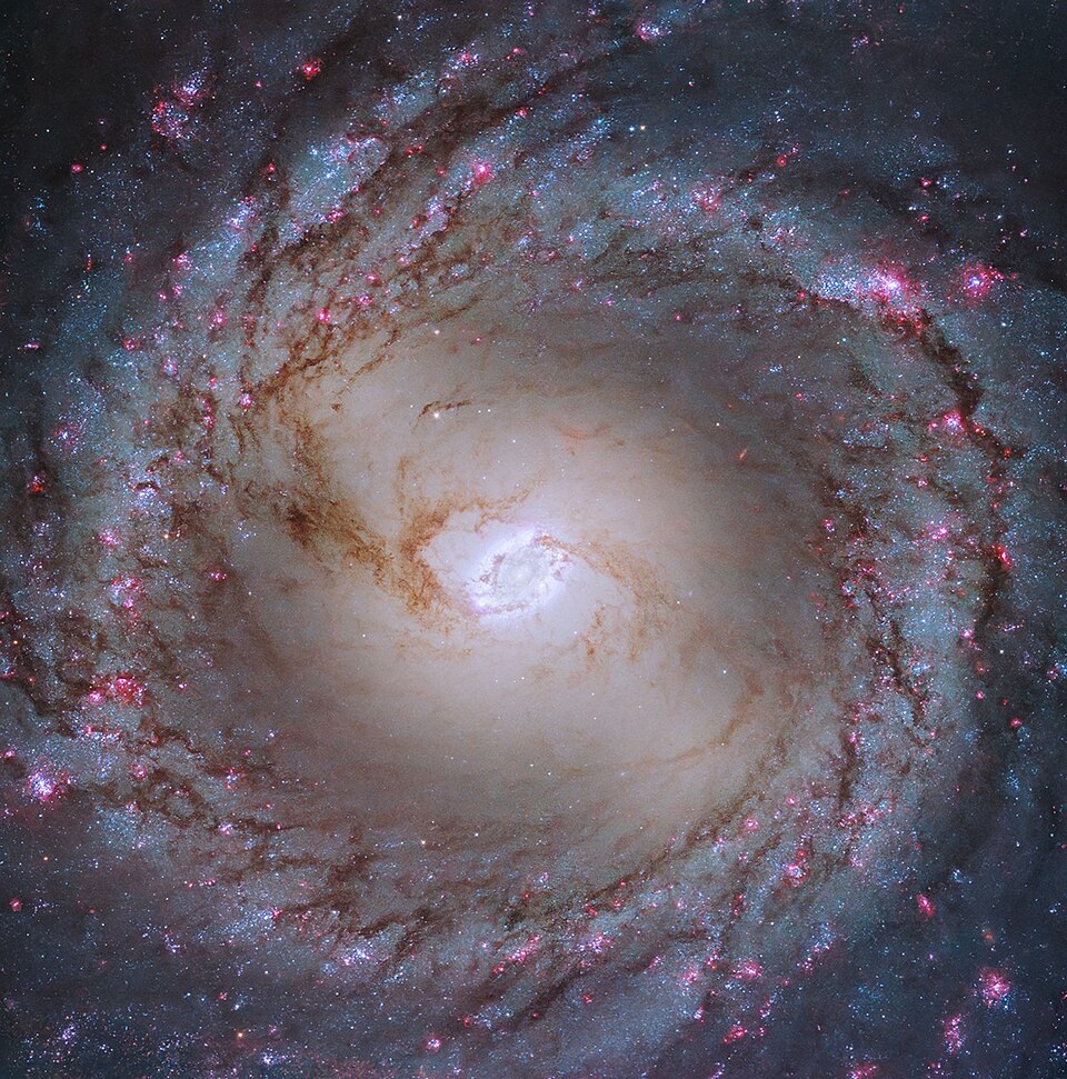 M95