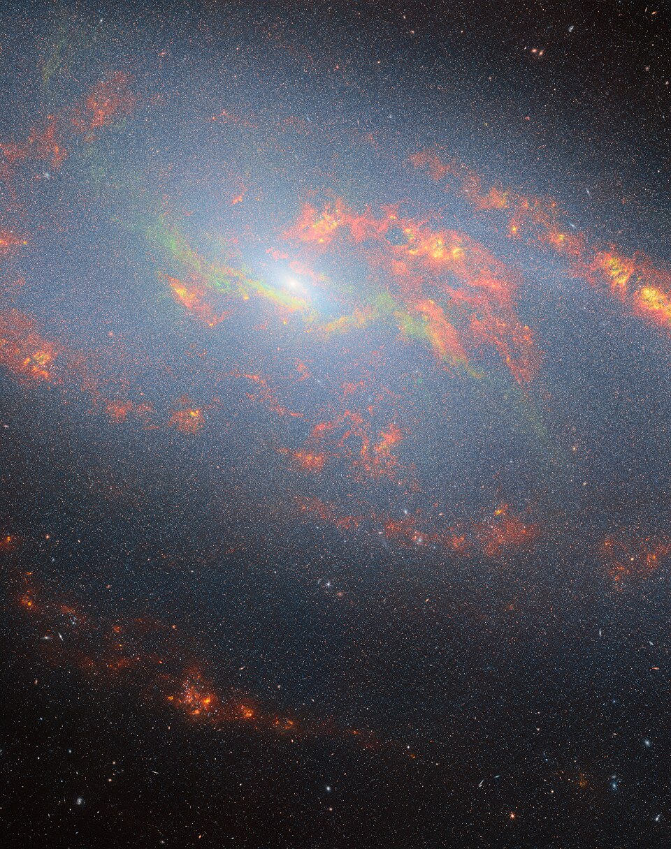 M106
