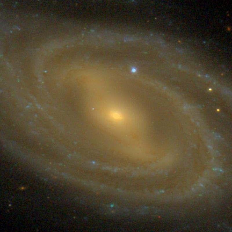M109