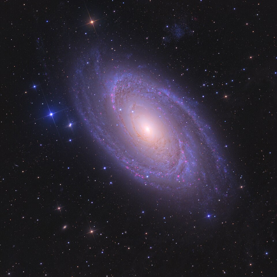 M81