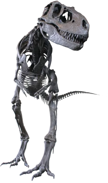 Albertosaure