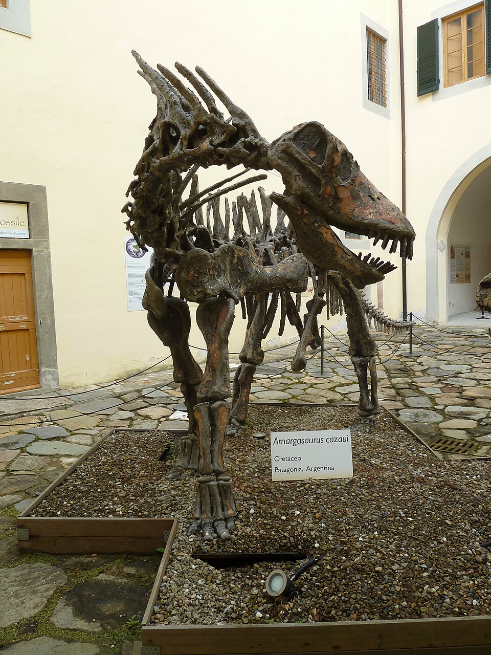 Amargasaure