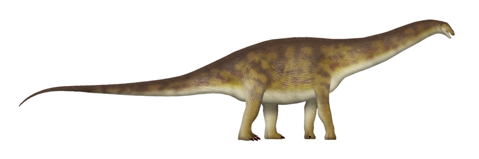 Apatosaure