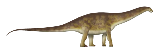 Apatosaure