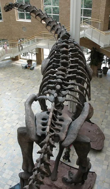Argentinosaure