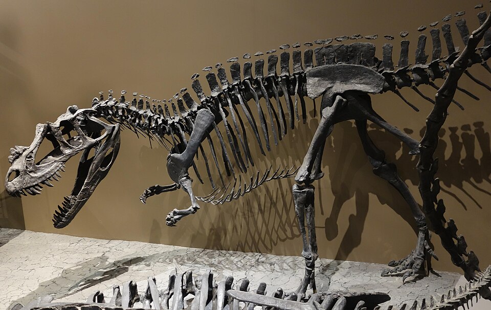 Cératosaure