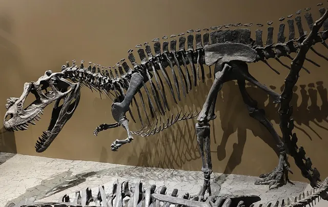 Cératosaure