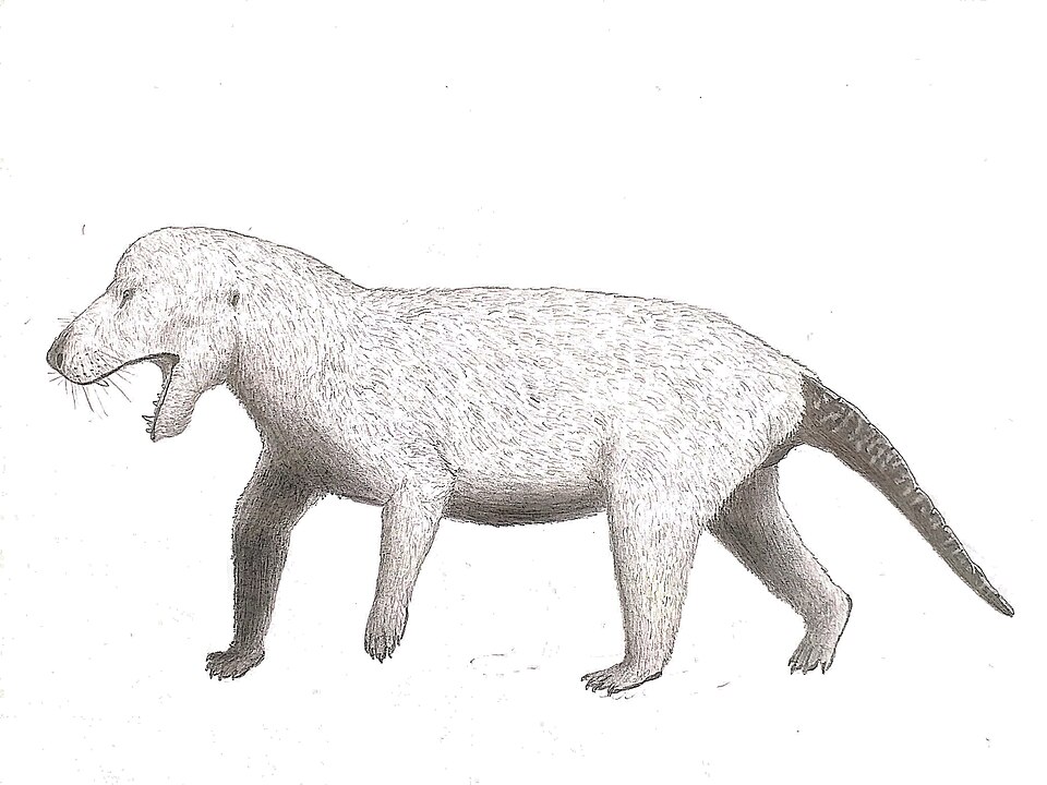 Cynognathus