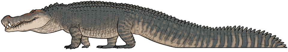 Deinosuchus