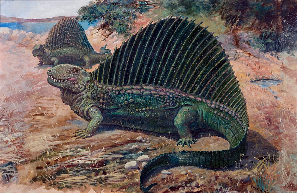 Dimétrodon