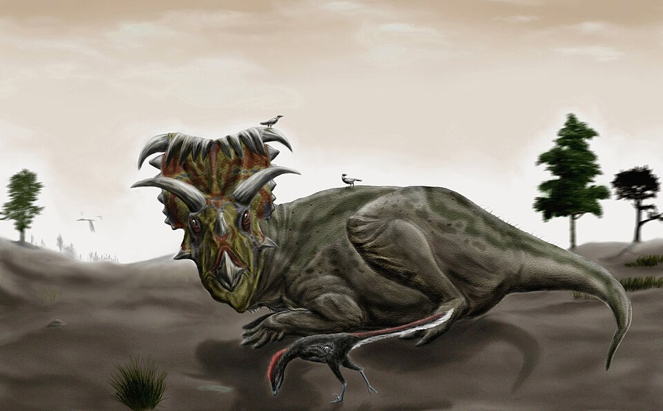 Kosmocératops