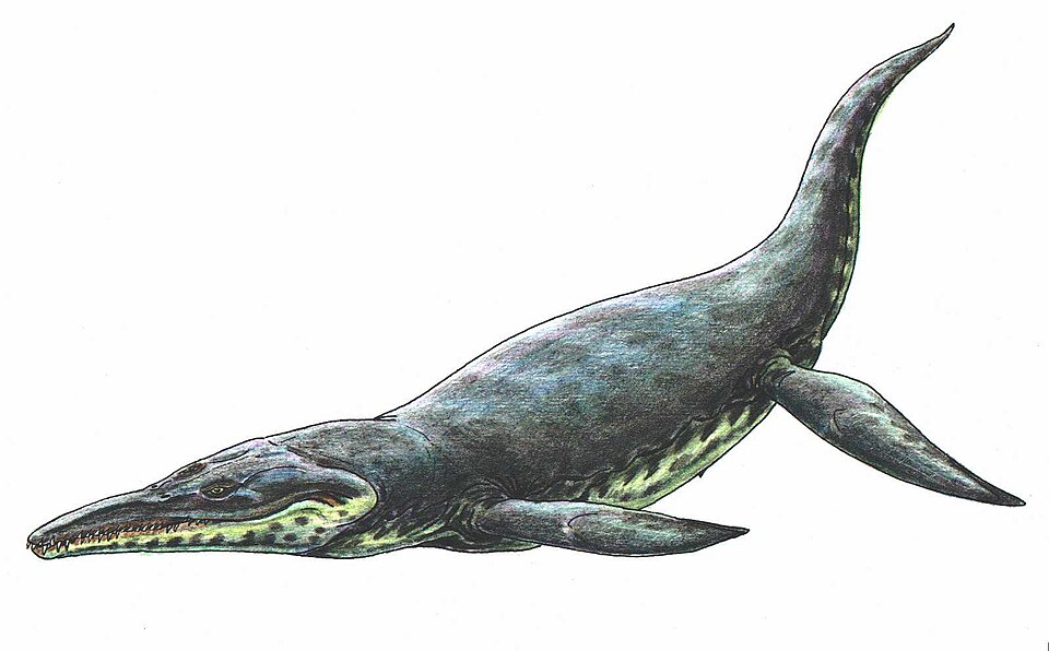 Kronosaure