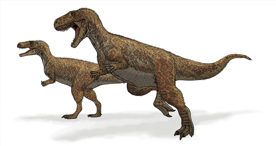 Mégalosaure