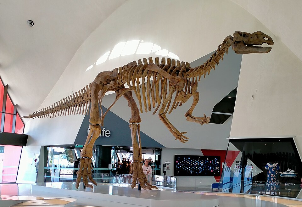 Muttaburrasaurus
