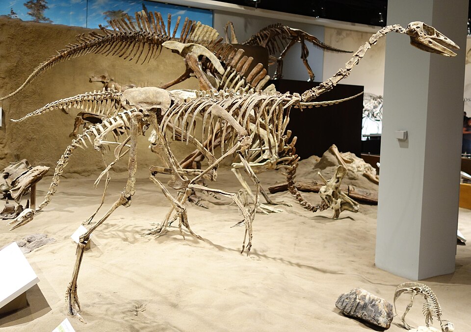 Ornithomimus