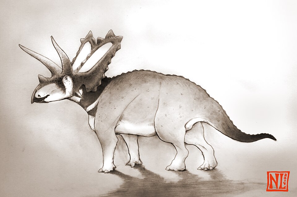 Pentacératops