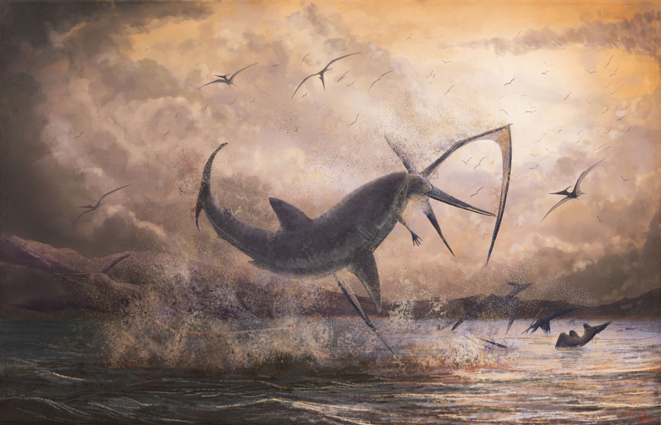 Ptéranodon