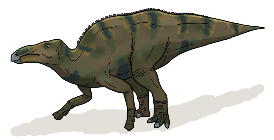 Shantungosaure