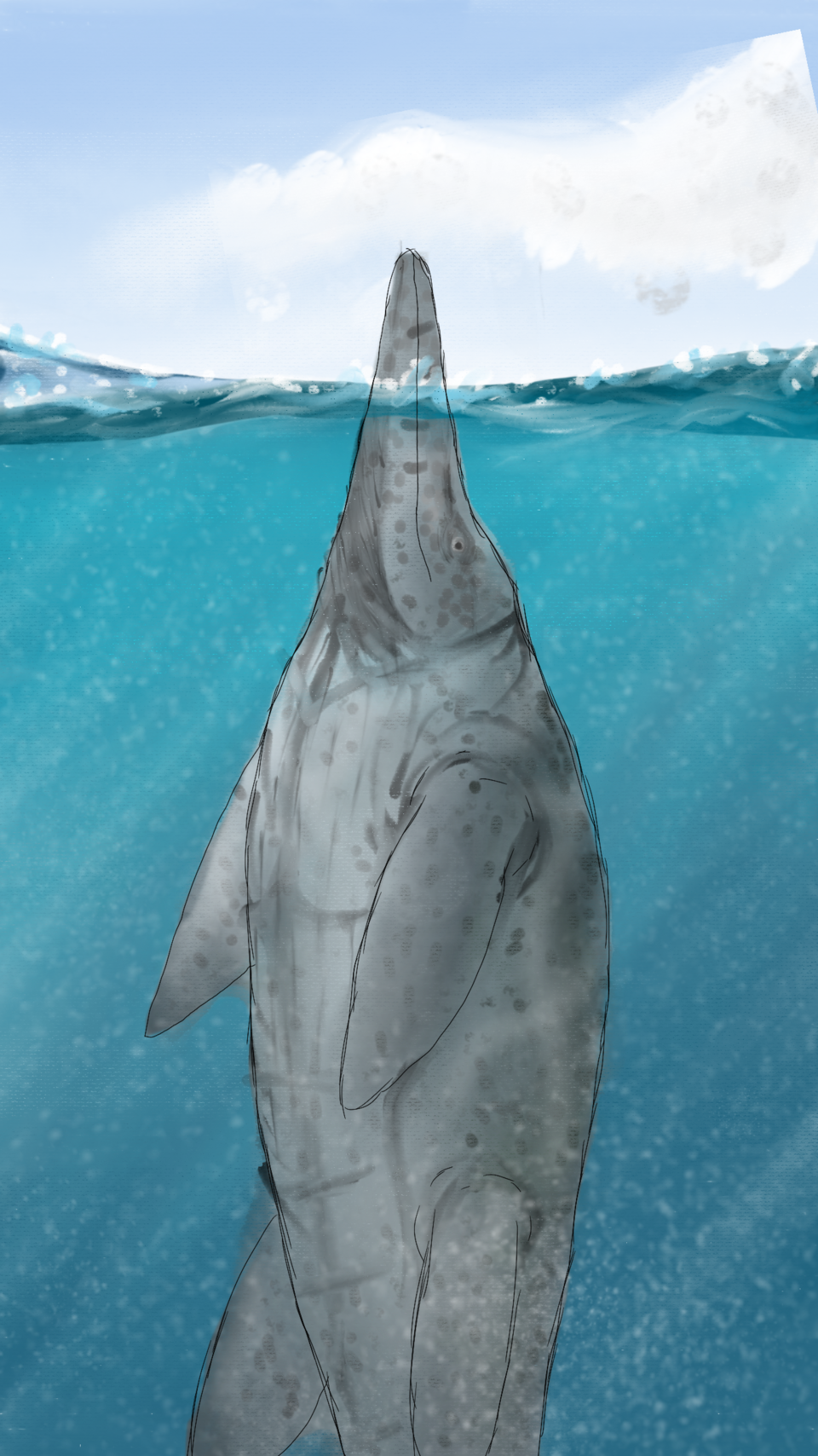 Shonisaure