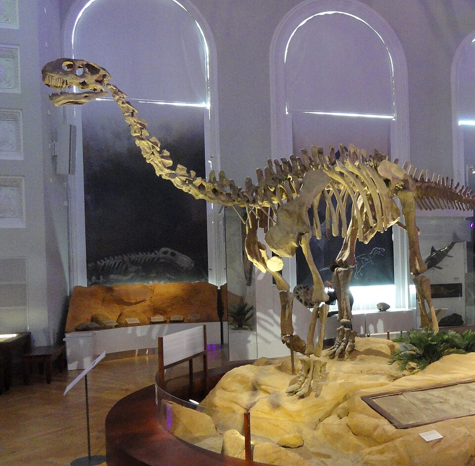 Shunosaure
