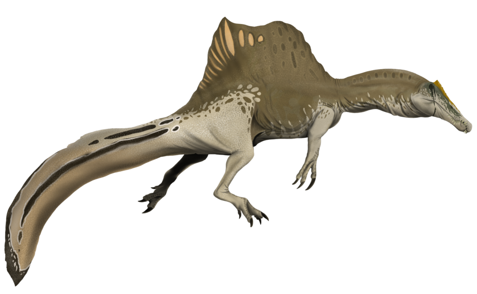 Spinosaure