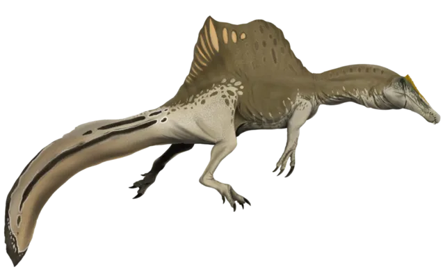 Spinosaure