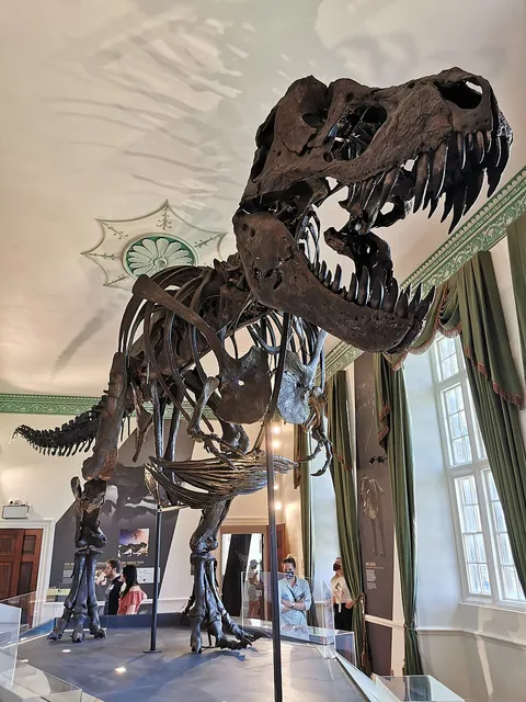 Tyrannosaure