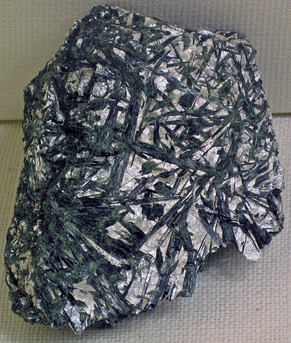 Actinote