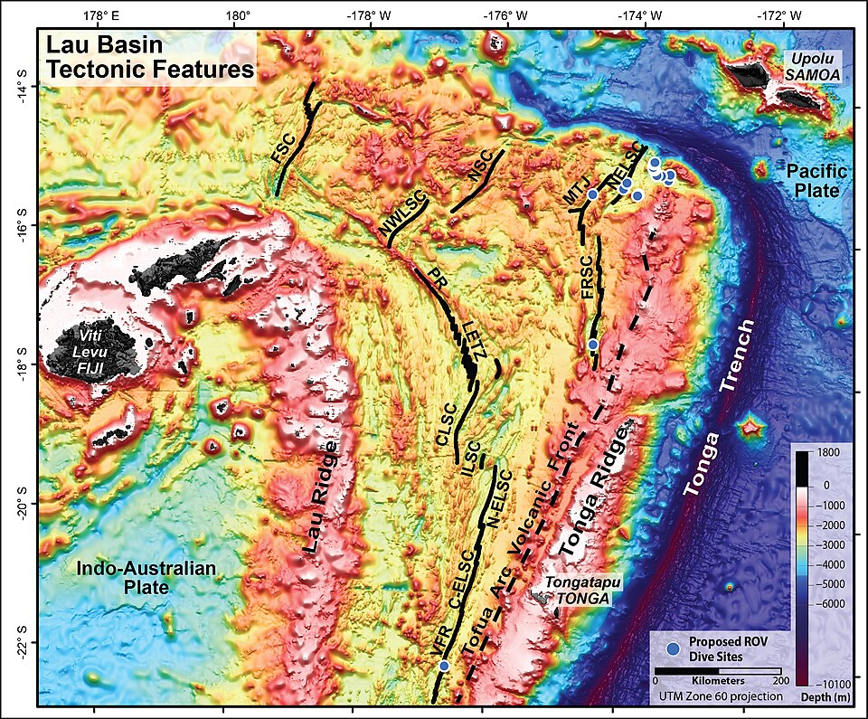 Fosse des Tonga