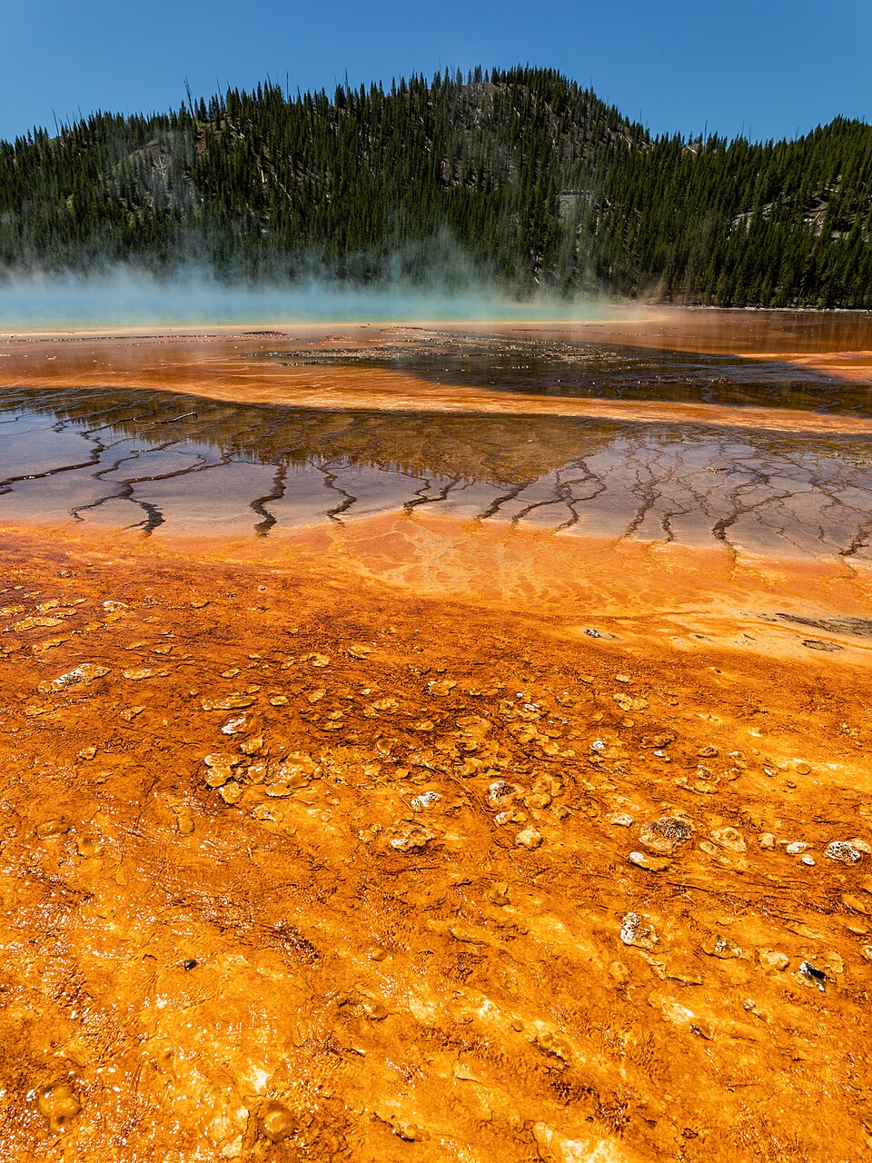 Grand Prismatic Spring
