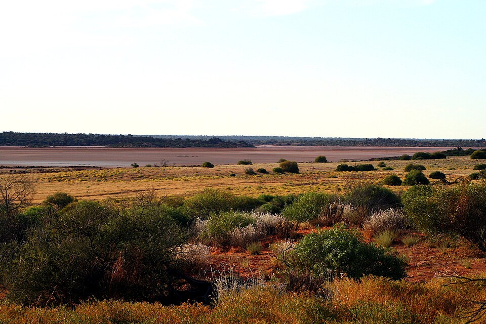Great Victoria Desert