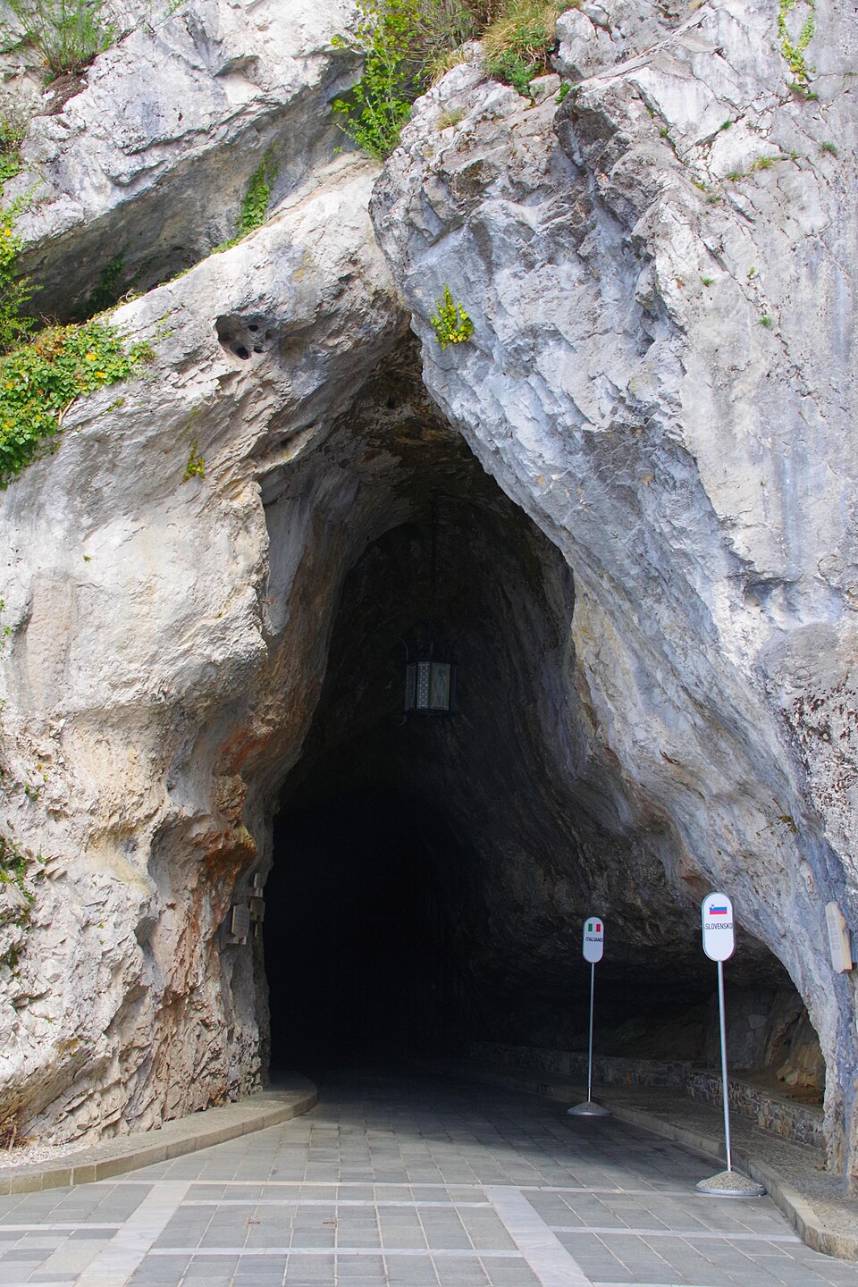 Grotte de Postojna