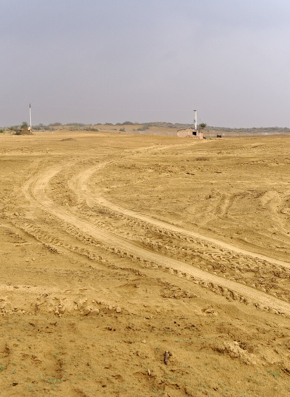 Désert du Thar