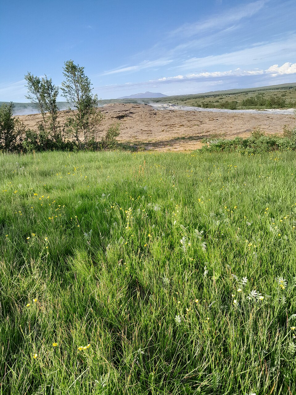 Geysir