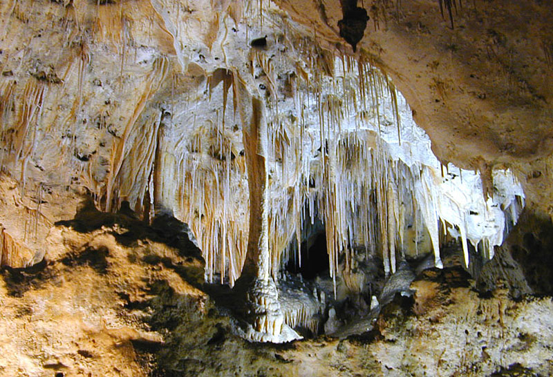 Parc national des grottes de Carlsbad