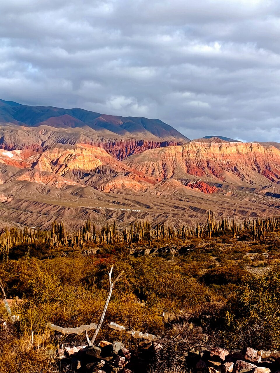 Quebrada de Humahuaca