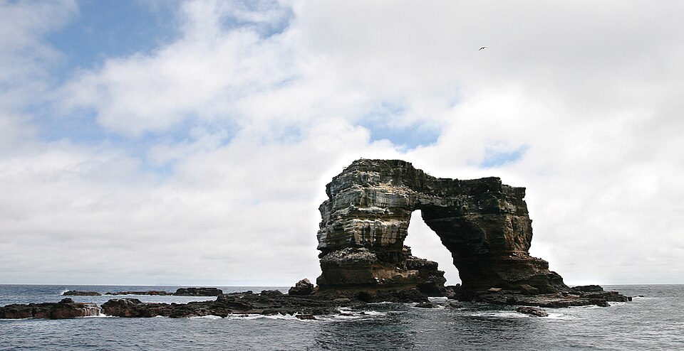 Arche de Darwin