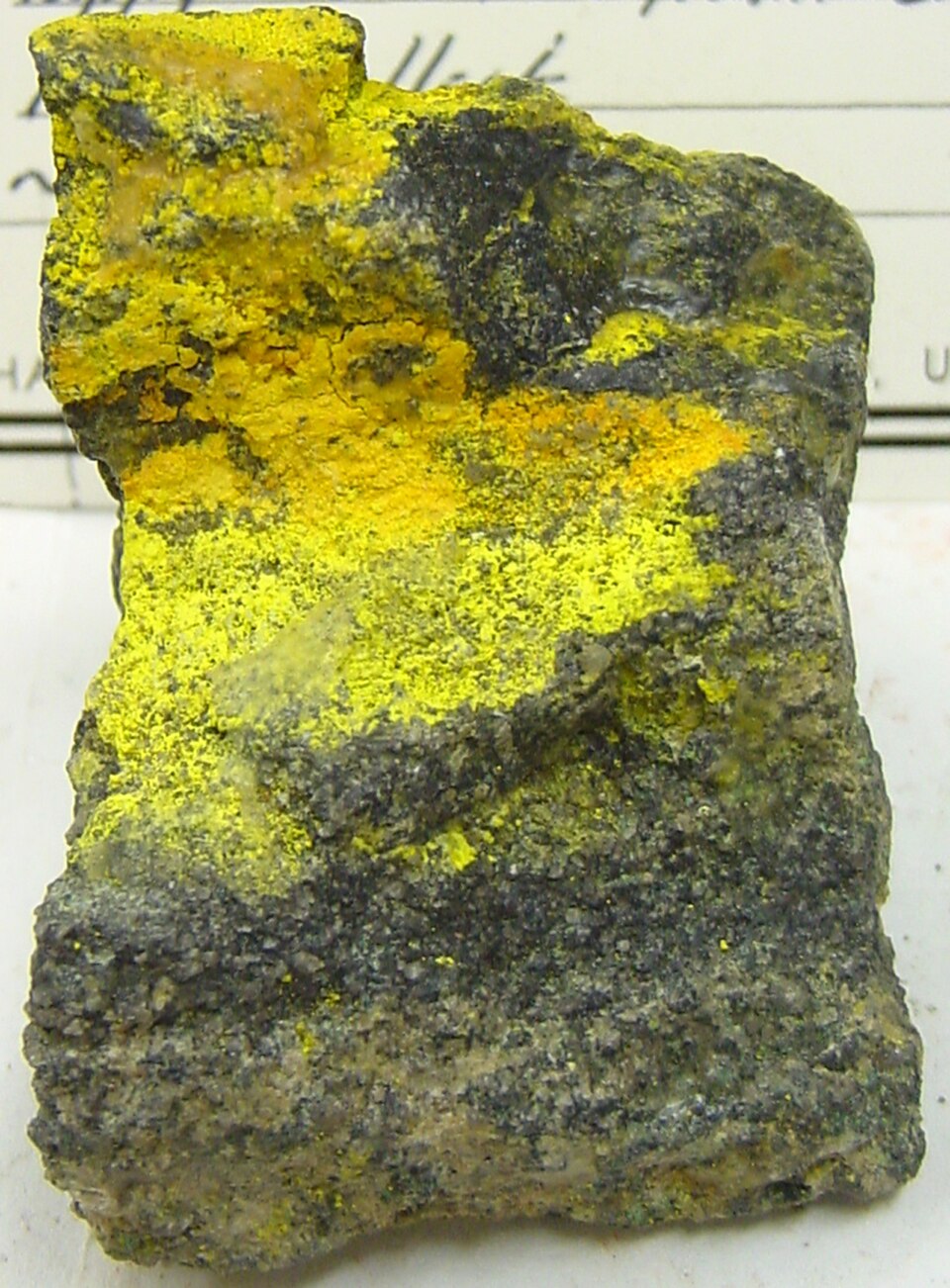 Carnotite