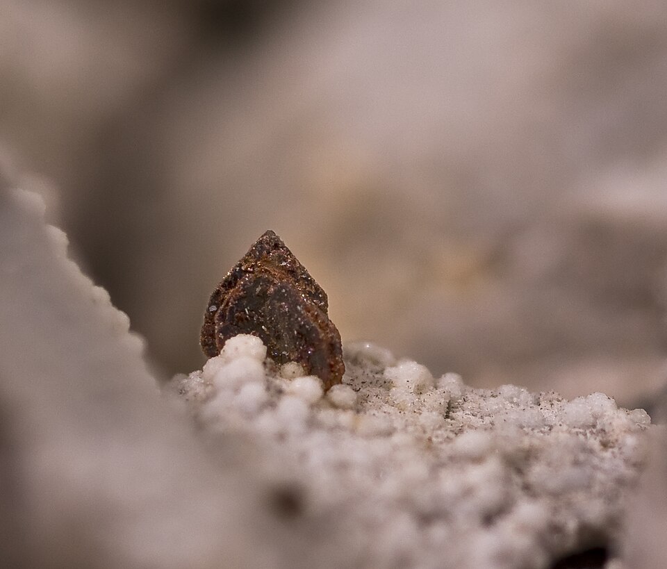 Fayalite