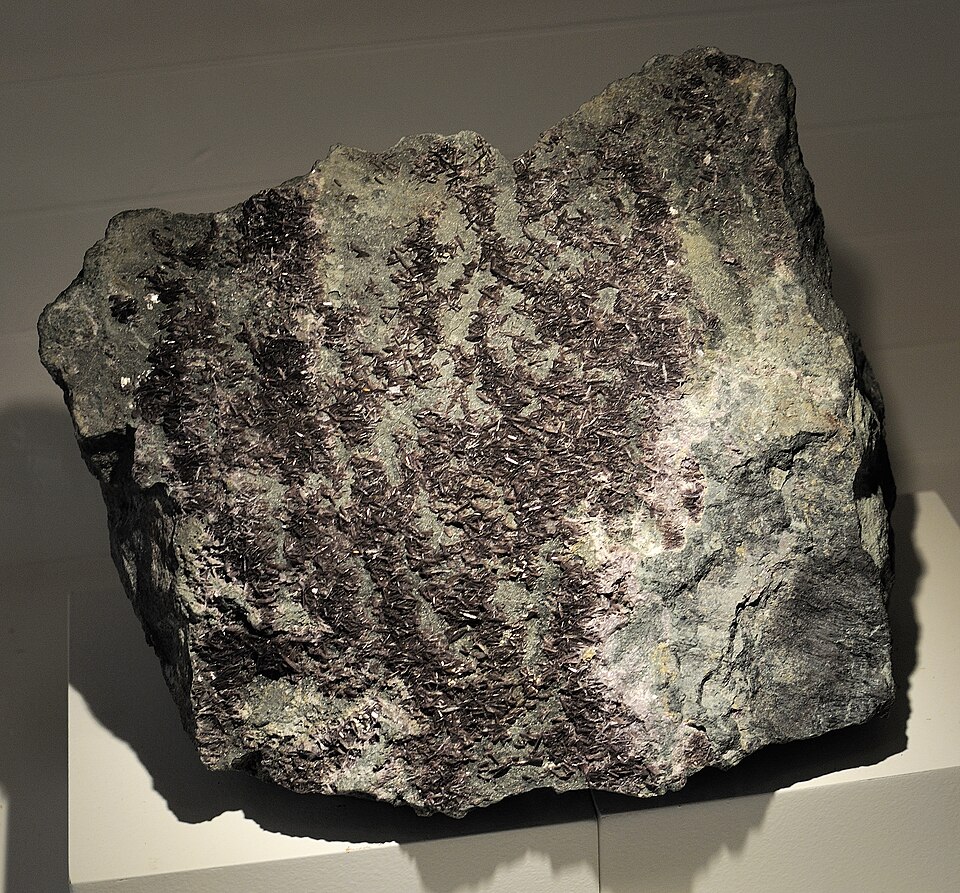 Diaspore