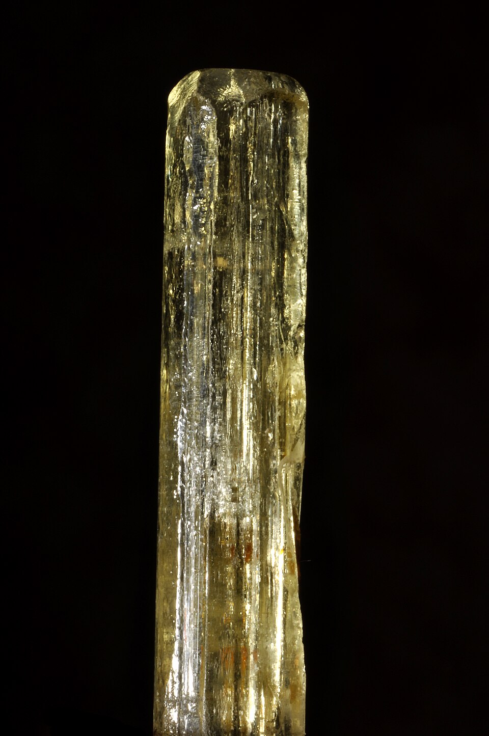 Héliodore